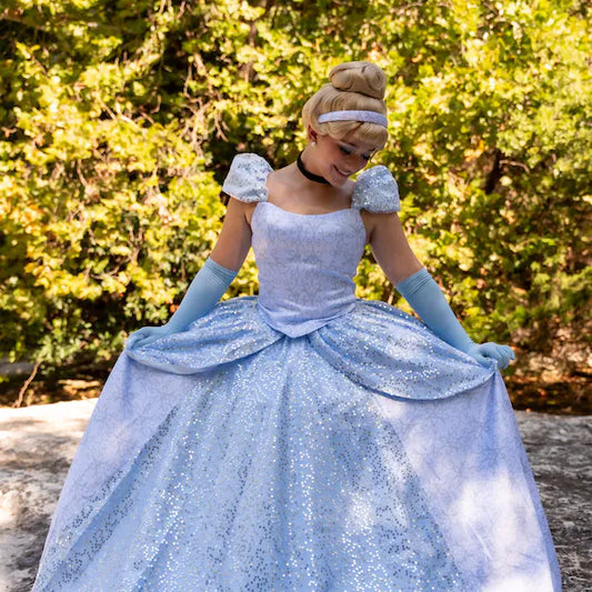 Cinderella Park Version Cosplay Costume Cinderella Classic Dress